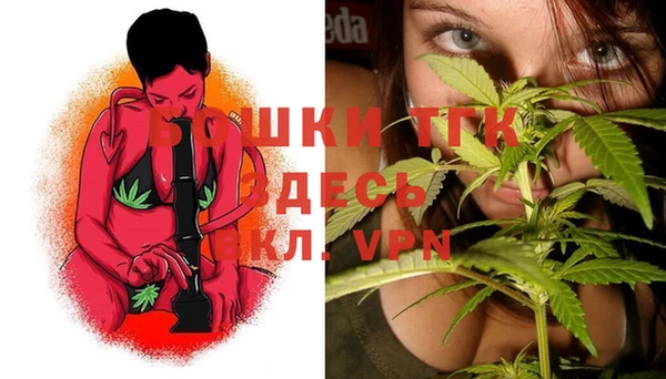 тгк Алексин