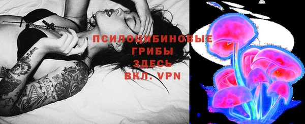 мяу мяу мука Алексеевка