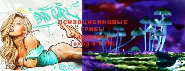 дмт Иннополис