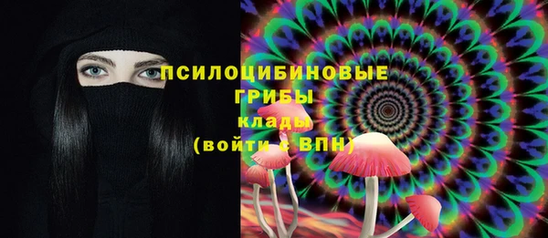 трава Алзамай