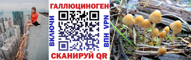 OMG ссылки  купить закладку  Спасск-Рязанский  Галлюциногенные грибы Magic Shrooms 